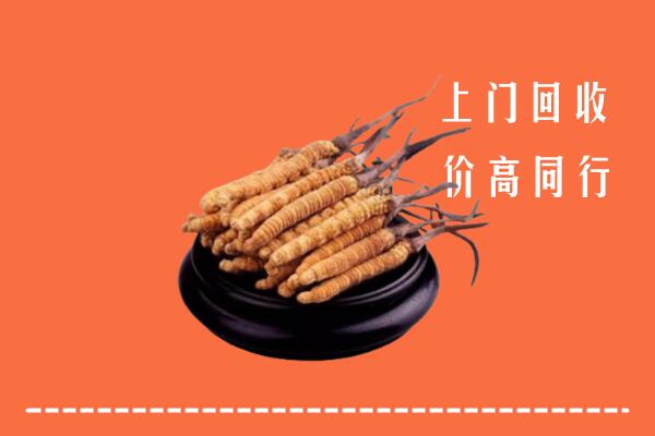 高价求购：信丰回收散虫草