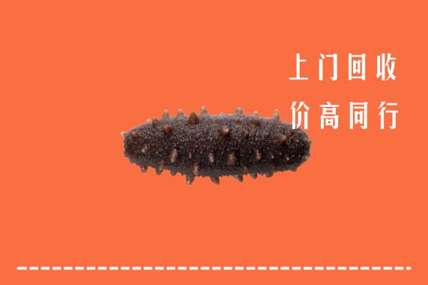信丰回收海参
