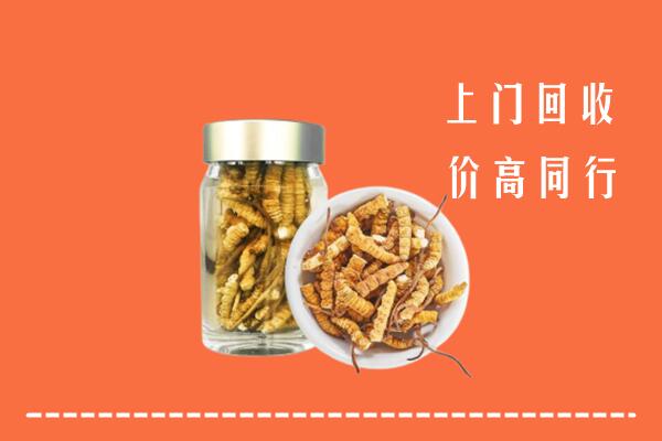信丰回收冬虫夏草